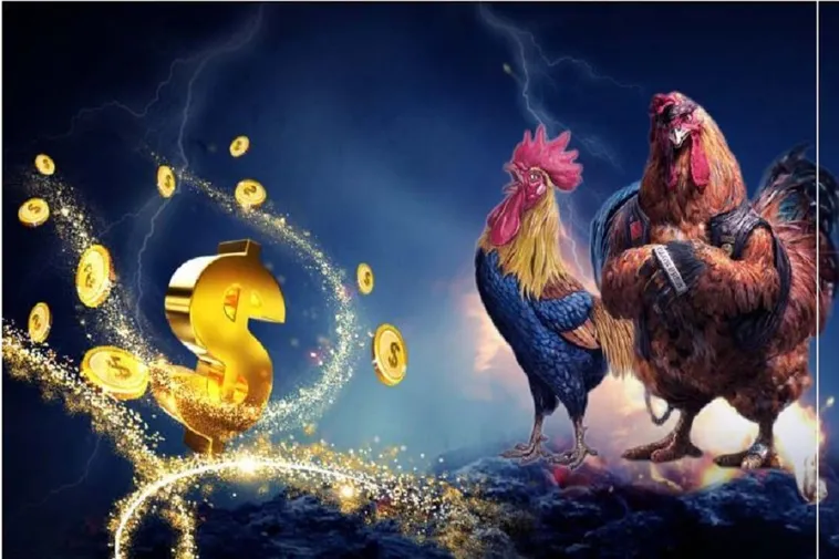 Hướng Dẫn Chơi Đá Gà 3D Tại S666 Thắng Lớn Dễ Dàng