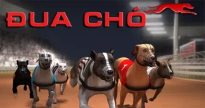 Cách Chơi Game Nhanh Đua Chó Tại S666 Dễ Thắng Nhất