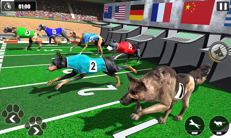 Cách Chơi Game Nhanh Đua Chó Tại S666 Dễ Thắng Nhất 2 Cách Chơi Game Nhanh Đua Chó Tại S666 Dễ Thắng Nhất